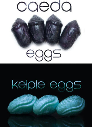 Surprise Me Kegel Eggs